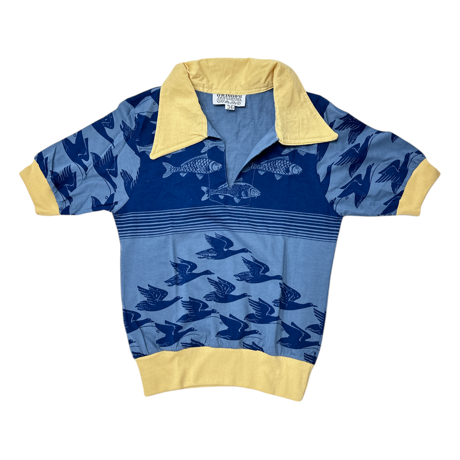 Birds and Fish