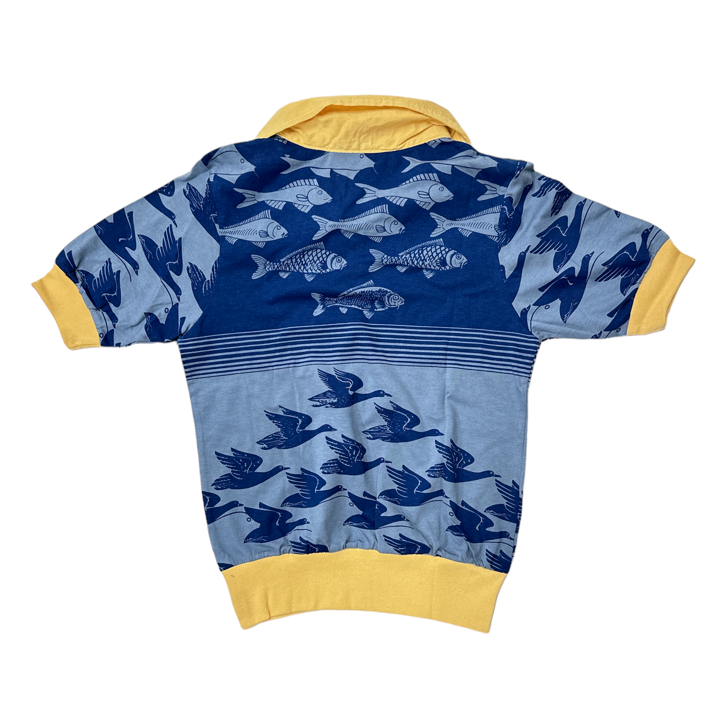 Birds and Fish